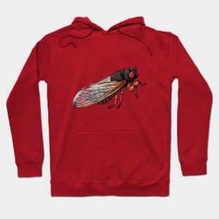 17 Year Cicada Hoodie